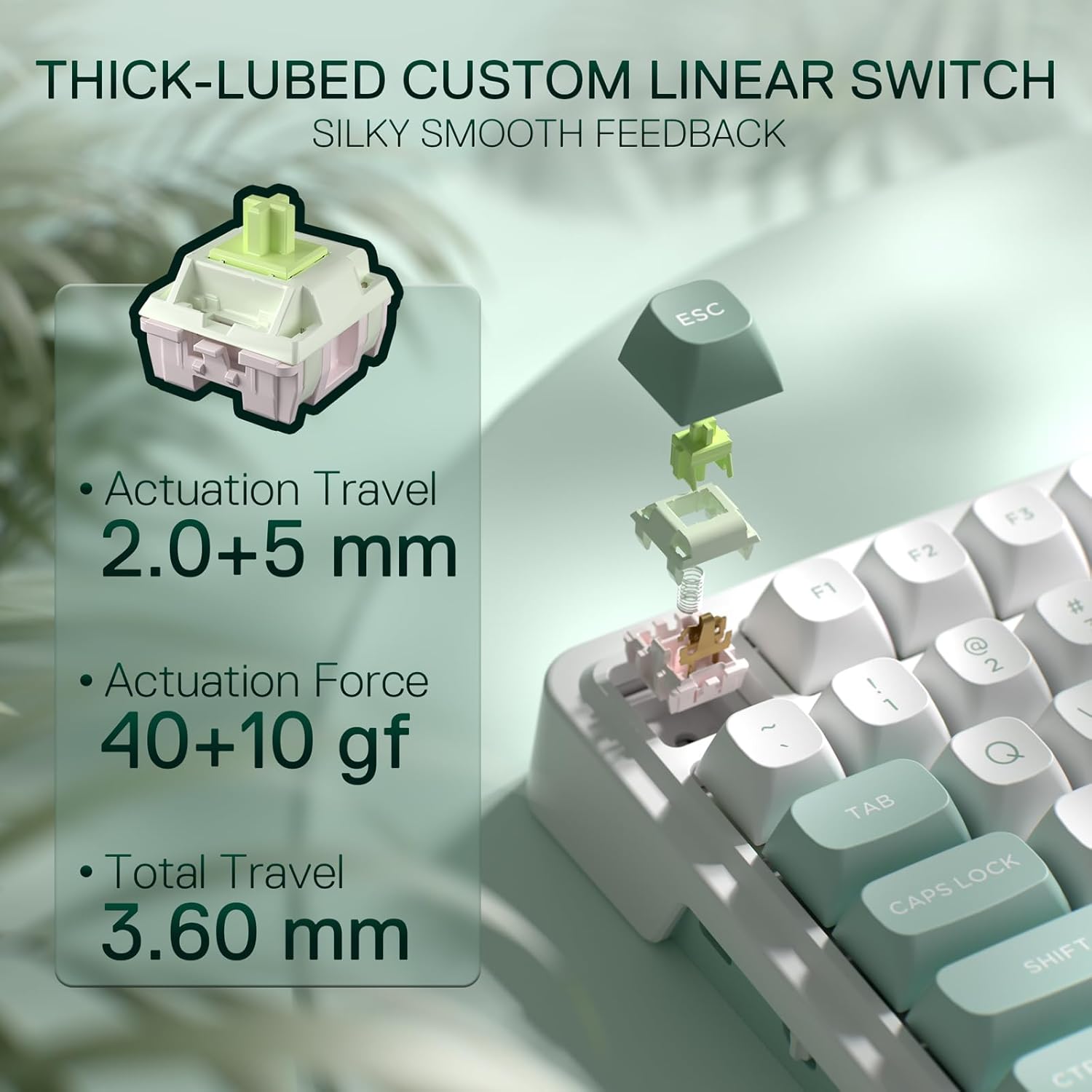 Redragon K719 Wireless Gasket  - đánh giá và giá Gaming Keyboard Thocky